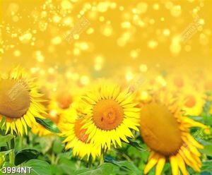 Tranh hoa hướng dương đẹp