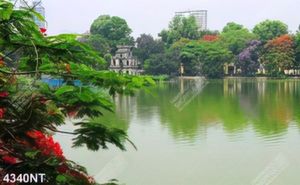 Tranh phong cảnh nghệ thuật đẹp