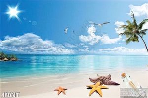 Tranh bãi biển và sao biển đẹp nhất