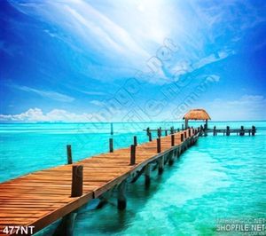 Tranh cây cầu ra đại dương