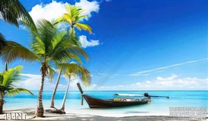 Tranh đại dương và hàng dừa