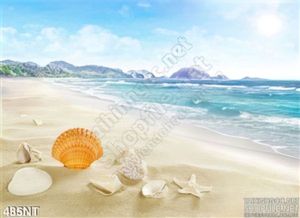 Tranh vỏ sò trên bãi biển