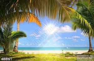 Tranh hàng dừa và đại dương xanh