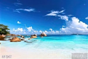 Tranh đại dương xanh trang trí phòng khách
