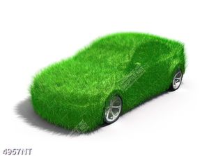 Tranh nghệ thuật trang trí tường