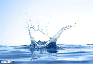 Tranh treo tường trang trí nghệ thuật