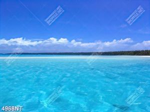 Tranh nghệ thuật trang trí tường