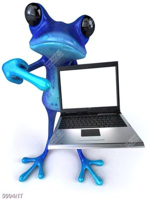 Tranh nghệ thuật chú ếch xanh cầm laptop