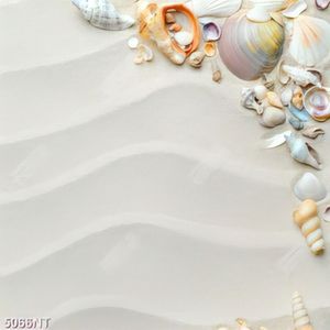 Tranh vỏ sò nằm trên bãi cát trắng