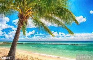 Tranh cây dừa trên bãi biển