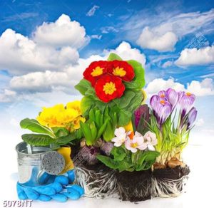 Tranh hoa đẹp nghệ thuật
