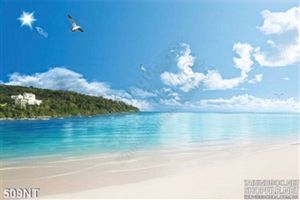 Tranh bãi biển đẹp nhất Việt Nam