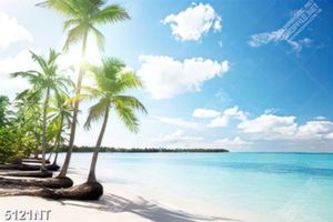 Tranh hàng dừa bên bãi biển