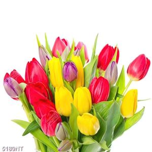Tranh bó hoa tulip đẹp