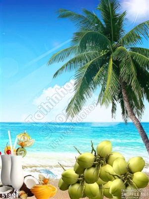Tranh quả dừa trên bãi biển