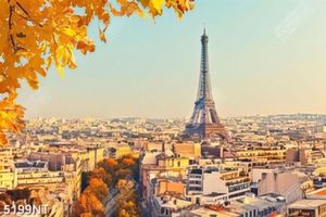 Tranh biểu tượng nước pháp tháp Eiffel