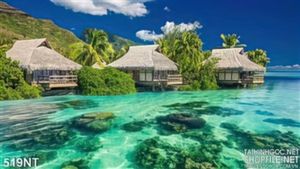 Tranh biệt thự nghỉ dưỡng trên đảo