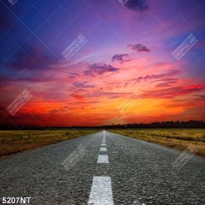 Tranh con đường dưới bầu trời đỏ rực