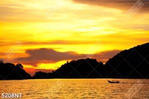 Tranh hoàng hôn trên biển