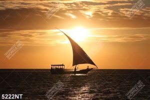 Tranh con thuyền căng buồm trên biển