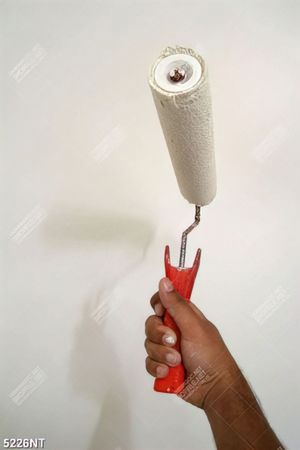 Tranh bức tường lăn sơn trắng