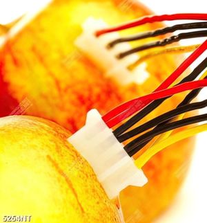 Tranh trái táo nghệ thuật