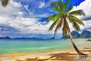 Tranh cây dừa trên biển