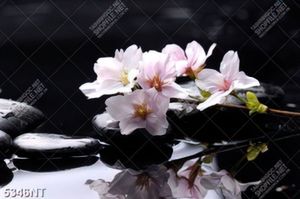 Tranh hoa anh đào đặt trên đá đen