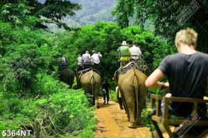 Tranh du lịch sinh thái