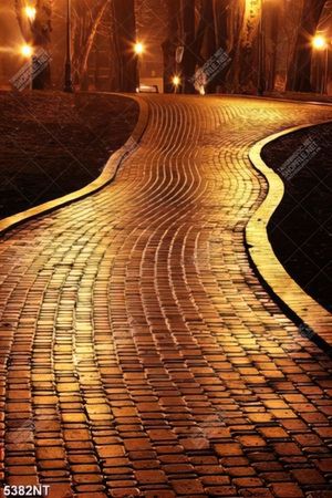 Tranh con đường vắng