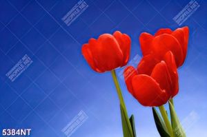 Tranh hoa tulip đỏ