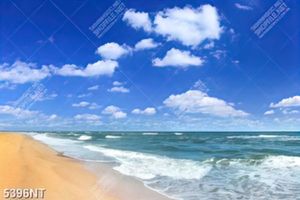 Tranh biển xanh mây trắng