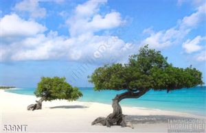 Tranh trên bãi biển xanh