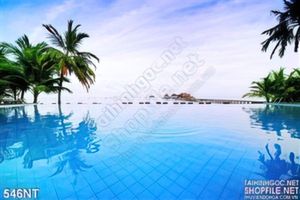 Tranh hồ bơi khu nghỉ dưỡng