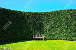 Tranh bức tường lá cây