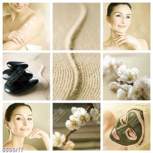 Tranh bộ ghép hoa và người đẹp