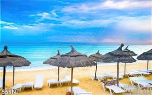 Tranh bãi biển và dại dương