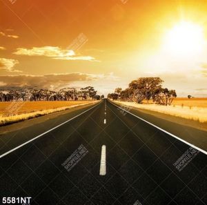 Tranh nghệ thuật con đường vắng