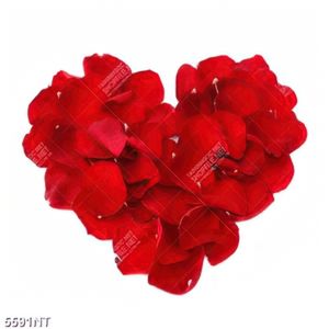 Tranh những cánh hoa hồng xếp hình trái tim