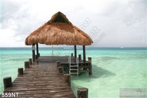 Tranh cây cầu ra biển xanh