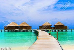 Tranh khu du lịch Maldives