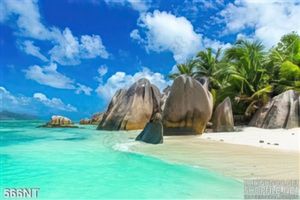 Tranh đảo trên biển