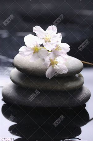 Tranh bông hoa trên đá
