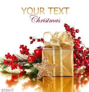 Tranh hoa và quà noel
