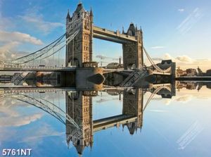 Tranh cầu tháp London