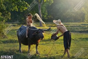 Tranh làng quê Việt Nam