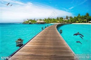 Tranh cây cầu ra biển và cá heo