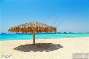 Tranh chòi nghỉ trên biển