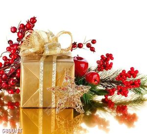 Tranh hoa và quà noel 5800NT