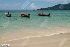 Tranh chú cá vượt cạn